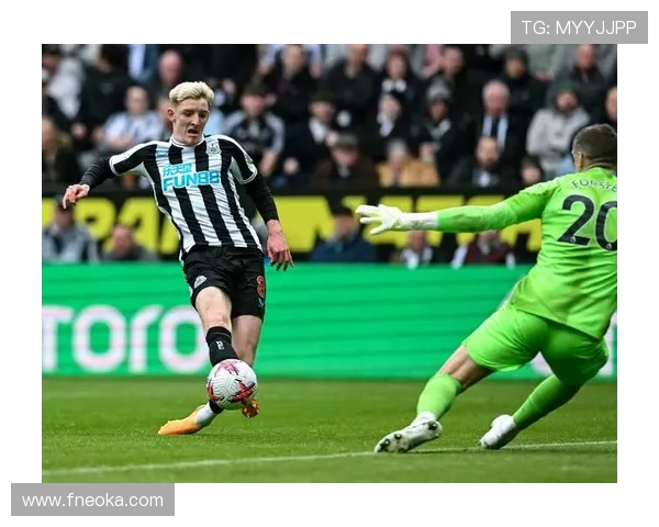 埃迪豪赞球队近期投入表现更佳 埃迪豪赞球队近期投入表现更佳